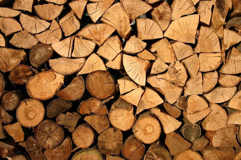 Outils essentiels : ce qu'il faut vraiment avoir