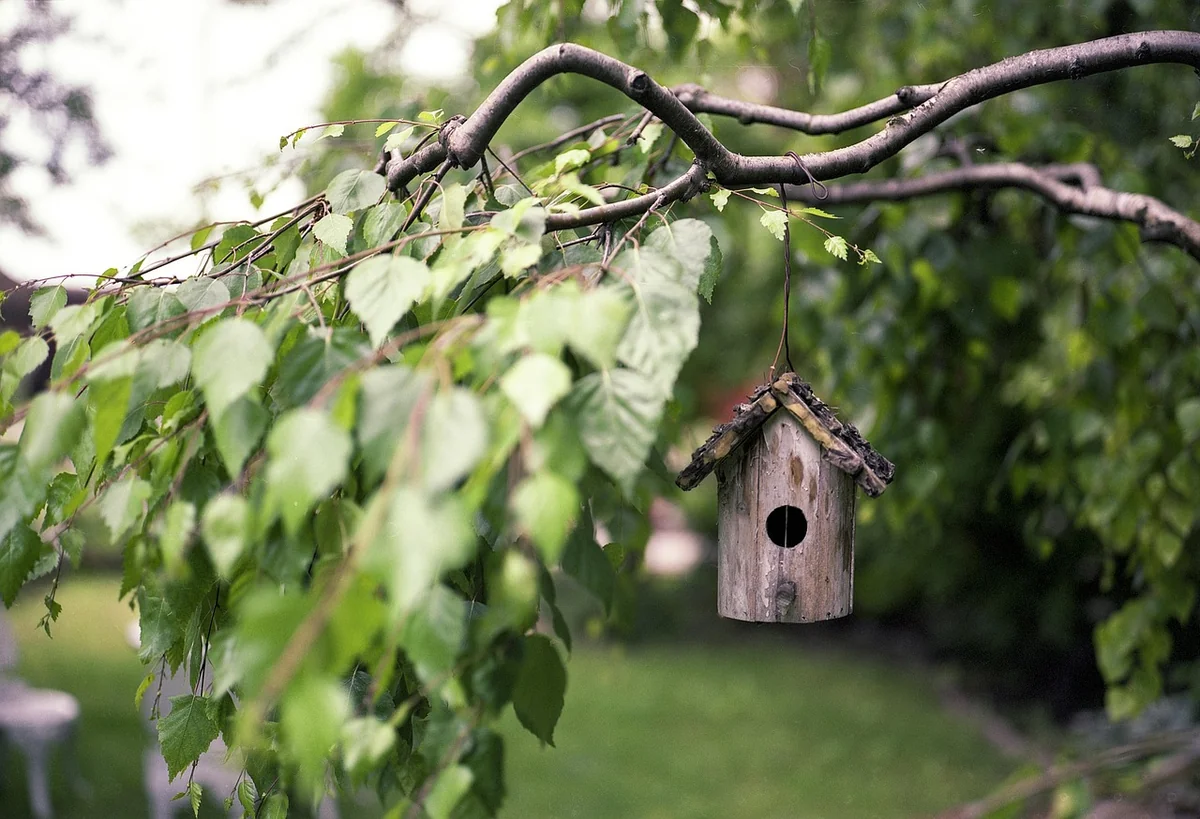 Découvrez les meilleures techniques pour poncer le bois comme un pro en 2026