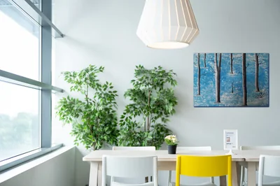 Guide complet sur la peinture murale intérieure : astuces et tendances 2026
