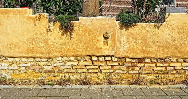 Choisir entre enduit cellulosique et enduit classique pour une finition parfaite